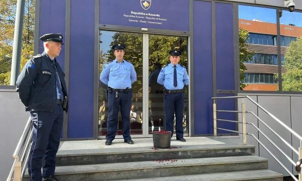 “Kurt si comporta come Nastradini”, PSD posiziona cesti di ciliegie prima del governo