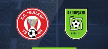 Offizielle Formationen: Trepcha 89 Gnjilan