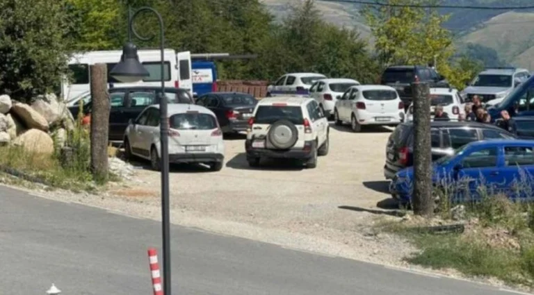 Die Strafverfolgung gibt Details über die Aktion in Brezovica