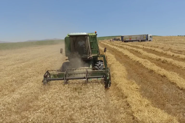 Pristina Gemeinde zahlt Landwirte 80 Prozent der Getreidepflanzenkosten