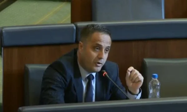 Selmanaj-Kurt: Lei è governo o ONG?
