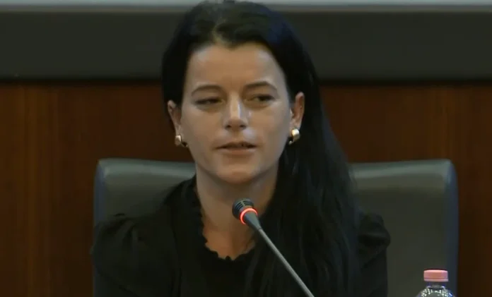 CEC entscheidet, das ist MP, um Vasije Krasniqi zu ersetzen