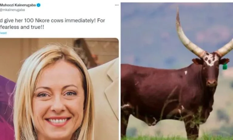Il figlio del presidente dell'Uganda offre 100 mucche Giorgia Melon