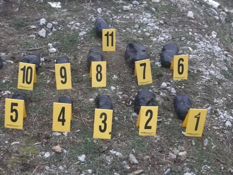 Kapen 5.1 kg heroinë në Morinë, arrestohet 42-vjeçari me dy emra