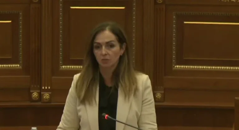 Nagavci i përsëritë fjalët e Dimal Bashës, që tashmë i dijmë: Ndamë buxhet për 400 asistentë për fëmijët me nevoja të veçanta