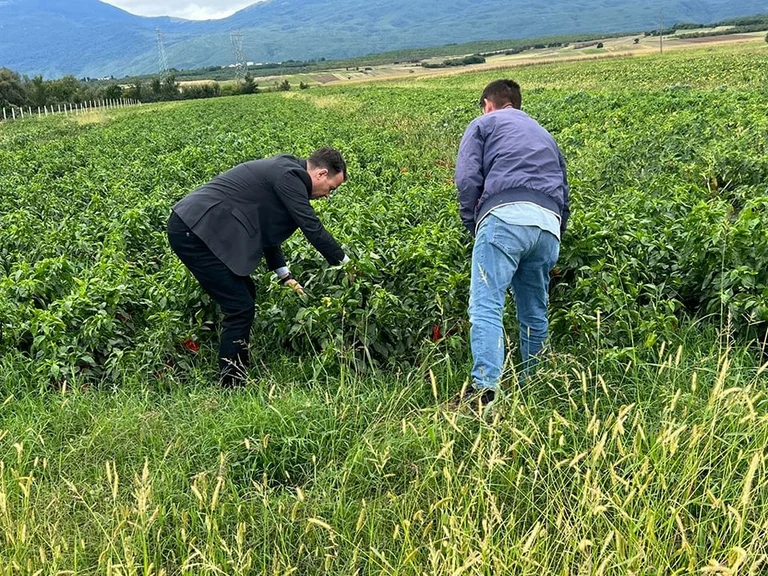 Peci shows when farm damages will be executed for 2022