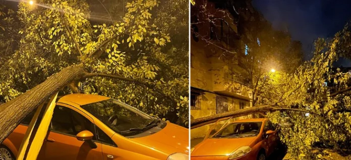 Bad weather tear down the tree in Tirana, falls on parked cars