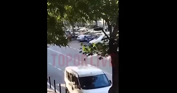 Svechla publishes a video where the distribution of long arms in Mitrovica