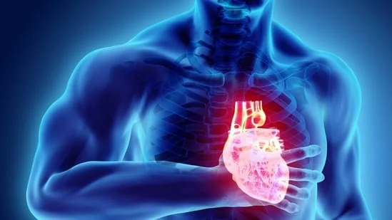 Segni che mostrano debolezza di cuore e ignoranza