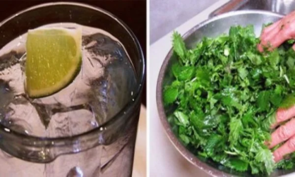 How to Clean Your Body of Five Natural disregards