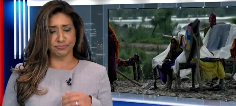 Disturbable moment: The modular swallows the fly through live, its reaction becomes viral