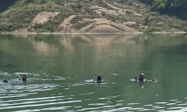 Mbytet një 40-vjeçar në liqenin e Prespës së Madhe