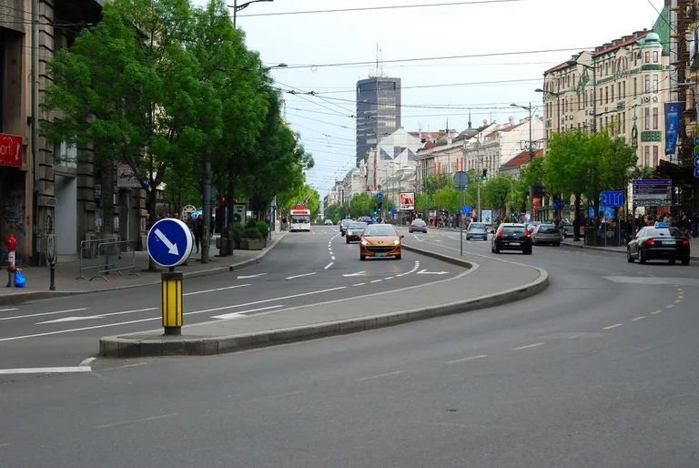 Serbian Samardist: In Serbia we are limited to speaking Albanian