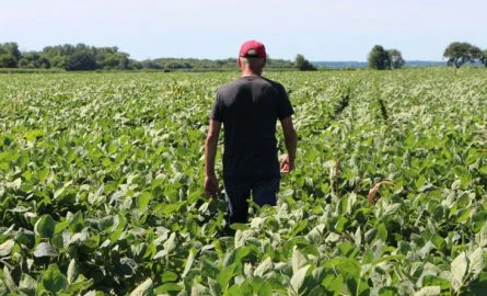 Peci announces farmers that subsidies have been processed