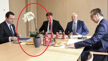 El amigo de Kurt para esta flor n'saxy: La flor vuelve su espalda al diablo, la flor quiere oxígeno, quiere luz y sol, no oscuridad, no noche de dióxido.