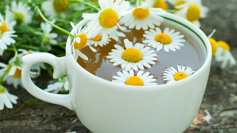 Have a presleep chamomile tea