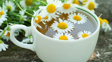 Avere un tè di camomilla presleep