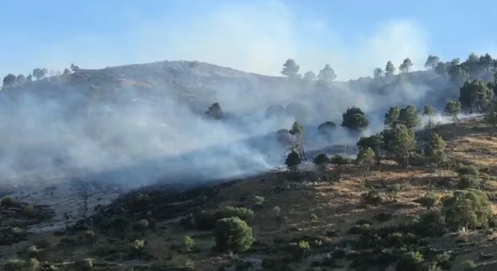 20 Firehouses nelle ultime 24 ore in Albania