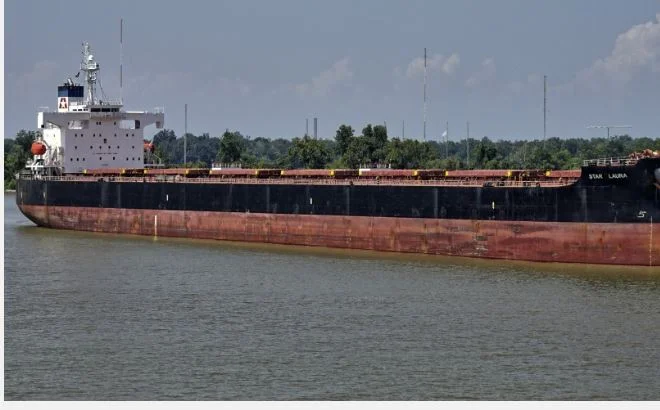 Altre due navi di grano hanno lasciato l'Ucraina