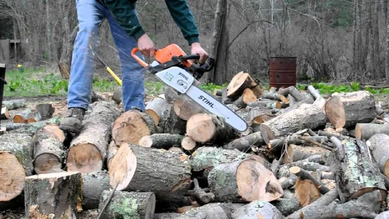 Warnings for a very uncertain winter “”, are you going back to the wood?