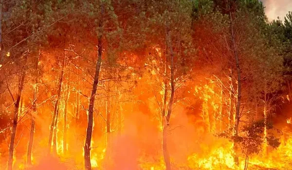 Fuegos masivos en Francia, cerca de 6 mil personas evacuadas, aldeas quemadas