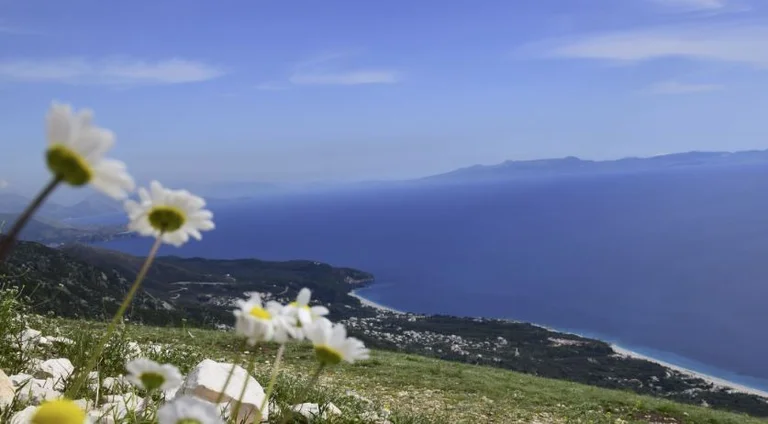 Le gouvernement vend pour un peu d'argent sur la côte de millions pour les hôtels aux occupants