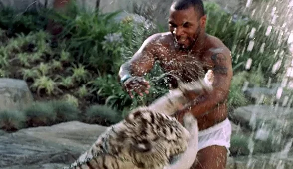 Il s'avère que la vidéo de Mike Tyson quand il était debout dans son manoir avec 3 tigres.