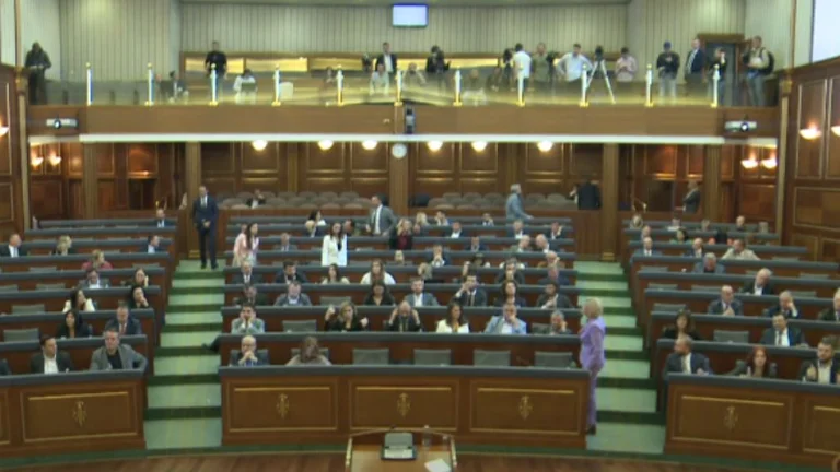 Monitors say Kosovo Assembly, discussed very little,