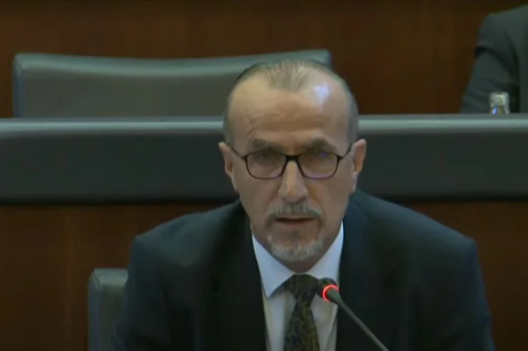 Haxhiu: Ningún partido ha trabajado más duro para el norte que el PDK)
