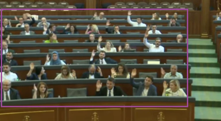 VV contra la ley que regula el precio de las drogas: A diferencia del partido, Konjufca se abstuvo