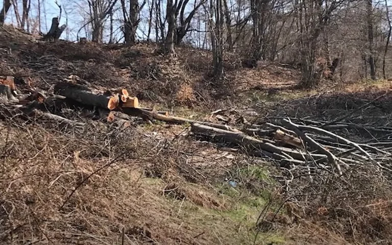 A 52-year-old dies while working wood in Decan