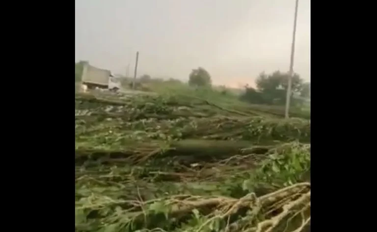 arbres tombés et problèmes de circulation de la tempête à Ferizaj