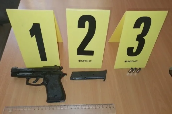 Two weddings arrested for shooting guns at the party