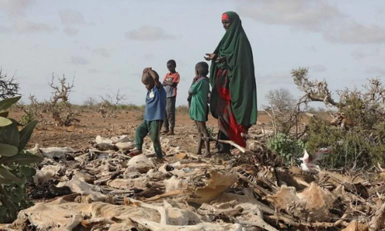 Somalia is on the verge of starvation