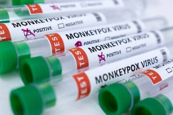 La UE aprueba el uso de la vacuna libre de ape