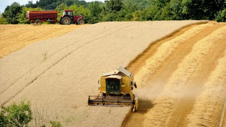 Story by Al Jazeera: Kosovo fails grain, even this year remains dependent on import