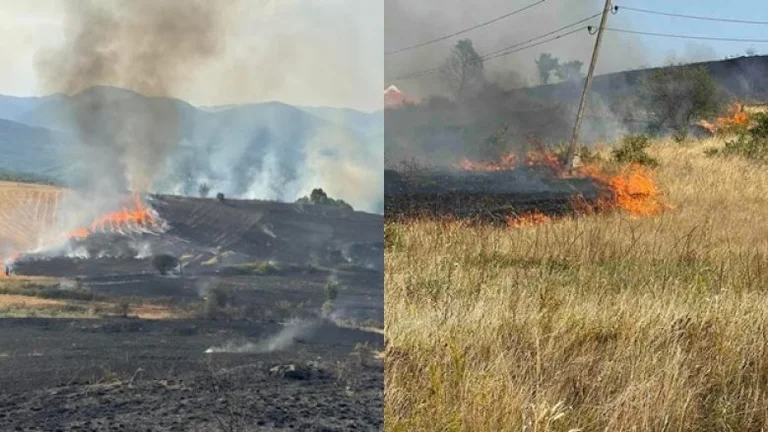 El fuego en varias aldeas de Mitrovica ha sido completamente localizado, dice la policía de Kosovo