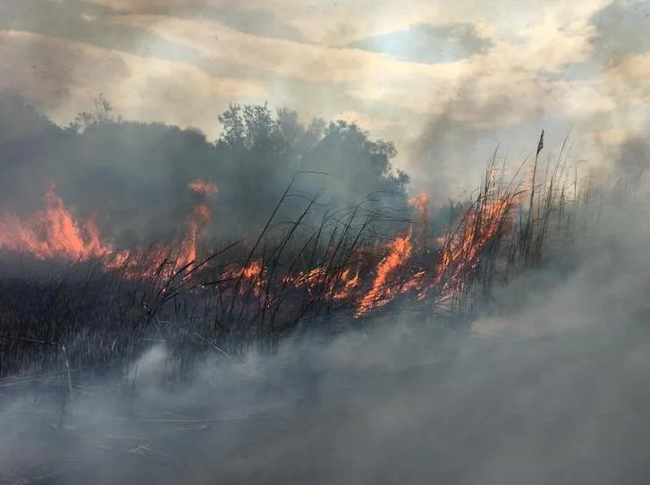 Firefighters: Fires in Mitrovica under control
