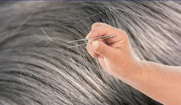 Perche' non tiri mai i grigi che vedi attraverso i capelli?