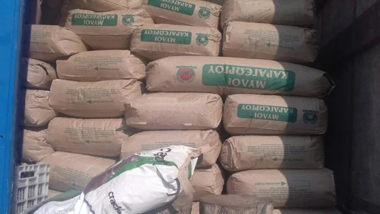 Northern Macedonia bans export of wheat, flour and wood