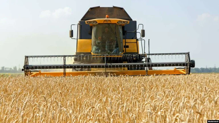 Ancora nessun dato ufficiale sulla produttività del grano di quest'anno in Kosovo