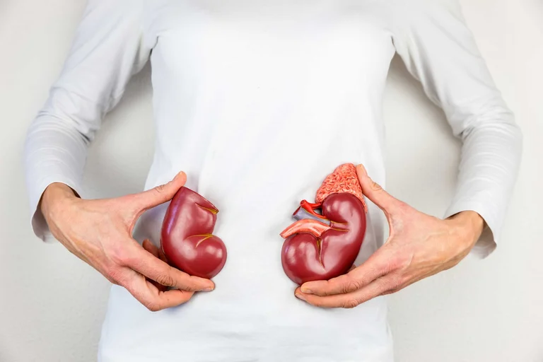 You do them every day, but you know these four daily actions are seriously damaging your kidneys.