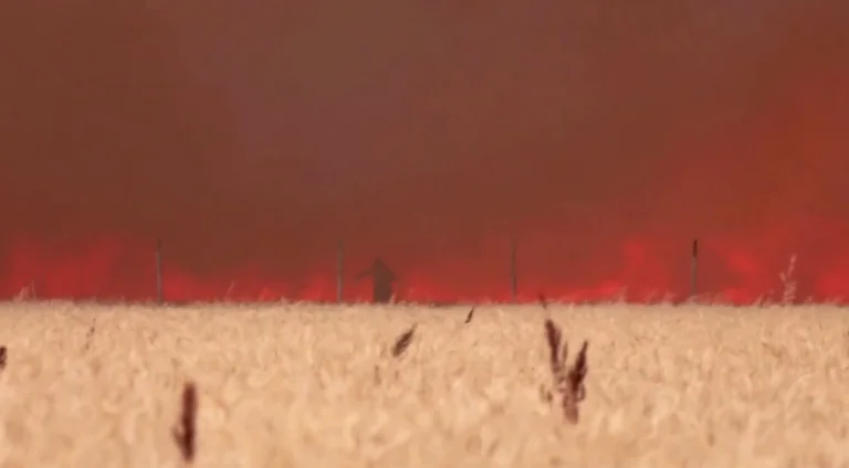 Massive fires in France, Britain 40 degrees Celsius: When does the hot weather in Kosovo come?
