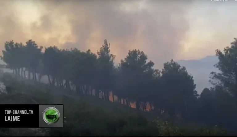 Incendie en Albanie/ Cinq comtés impliqués dans les flammes, la situation la plus difficile à Lezha
