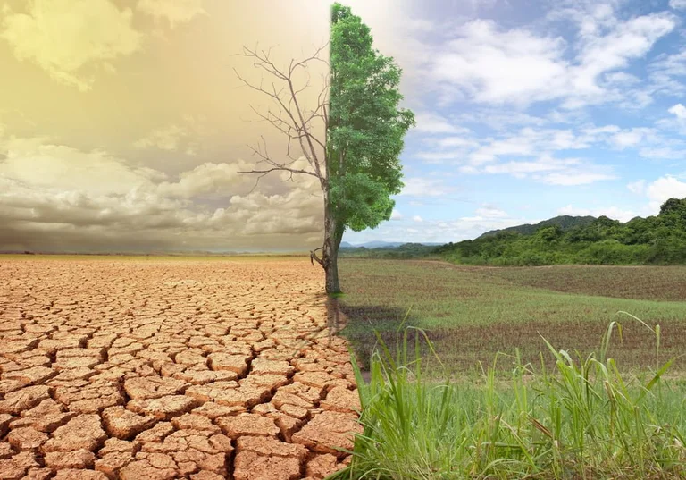 “La crise climatique est le plus gros problème de sécurité pour tous”