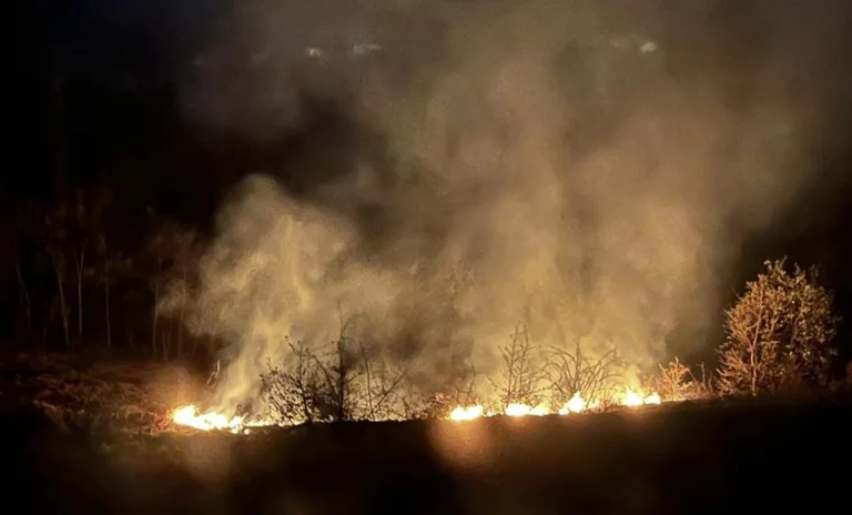 More evacuations increase, fires are spreading to Mediterranean