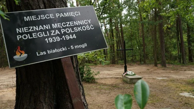 The remains of 8 thousand Nazi victims found in Poland