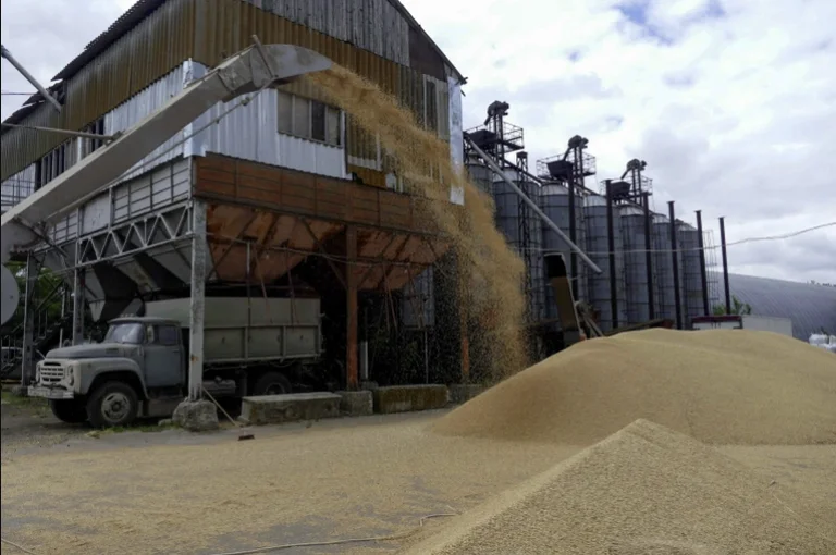 Positive signals from Ukraine-Russia grain export talks