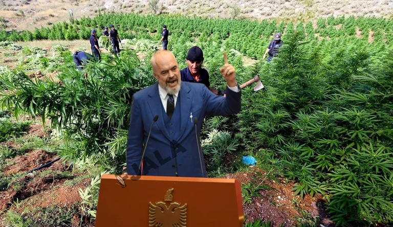“magazine Forbes” article on Albania's legalisation bill