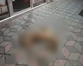 EIGHT: Sacrifice Abfälle links in der Mitte der Straße in Gjilan